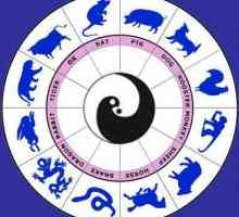 1952 - Anul animalului din calendarul estic? Caracteristică, compatibilitate
