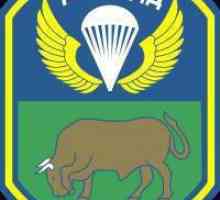 Garda 7-a Guards Airborne Assault Mining Division: traseu de luptă