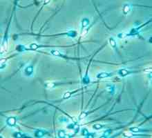 Știați că acidul citric intră în sperma?