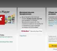 Adobe Flash Player: actualizați gratuit sau Totul despre instalarea aplicației pe PC