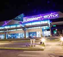 Aeroportul Yakutsk: ceea ce este portul aerian al Republicii Sakha