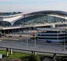 Aeroportul Sheremetyevo: internațional: adresă, terminale și fotografii