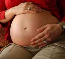 Alcoolul în timpul sarcinii: consecințe pentru dezvoltarea fătului