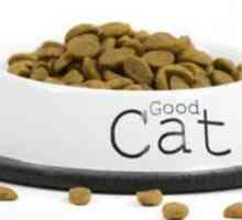 Alergia la hrana pentru pisici: simptome și tratamente