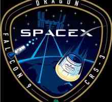 Racheta americană Falcon 9: specificații și fotografii
