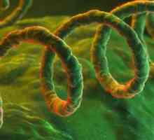 Analiza sifilisului și a posibilelor sale variante