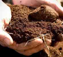 Analiza solului - o evaluare cuprinzătoare a stării solului