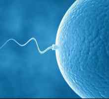 Analiza spermei: când este afișată?