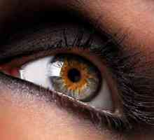 Angiopatia retinei ambilor ochi - ce este și cum să îi tratăm?