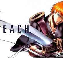 Anime `Bleach`: descrierea parcelei. Principalele personaje ale "Bleach"