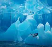 Antarctica a fost descoperită de o expediție condusă de marinarii Bellingshausen și Lazarev.…