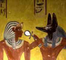 Анубис - это божество Древнего Египта с головой шакала, бог смерти