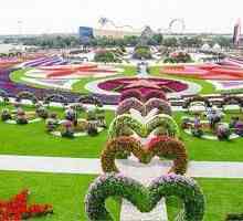 Arabia de mirare a lumii: un parc de flori din Dubai