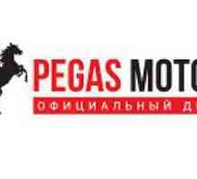 Pegas Motors Show Motor: comentarii