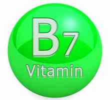 B7 (Vitamina): proprietăți utile, care conțin și caracteristici de aplicare