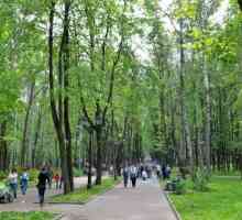 Babushkinsky parc de cultură și de odihnă la Moscova - avem o odihnă cu toată familia! Cum ajungem…