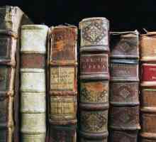Literatura barocă - ce este? Elemente stilistice ale literaturii baroce. Literatura barocă din…
