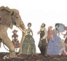 Fable `Elephant și Moska`: morală nefericită a operei