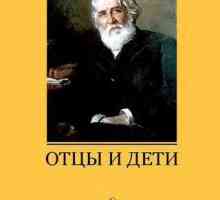 Bazarov: atitudine față de natură. Romanul "Părinți și copii", Turgenev