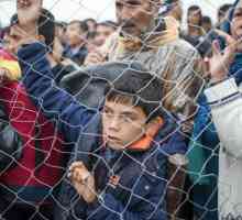 Refugiații din Europa. Cum se obține statutul de refugiat?