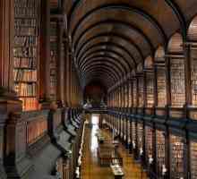 Bibliotecă și activități de informare: cine să lucreze și unde să studieze?