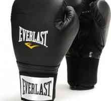 Everlast mănuși de box - tipuri de bază