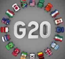 "Big Twenty": istoria și obiectivele organizației. Care țări sunt incluse în G20?