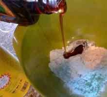 Acid boric din gândaci: o rețetă cu ouă. Cum să se ocupe cu gândacii în apartament