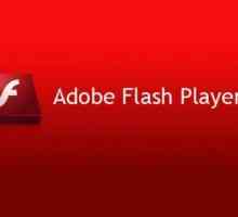 Plugin-uri pentru browser: Adobe Flash Player. Activați, actualizați, ștergeți - cum?