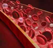 Sisteme tampon de sânge și semnificația lor în homeostazie