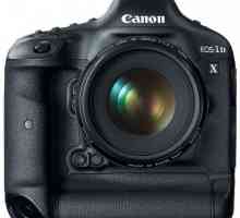 Canon 1DX: specificații și recenzii. Cameră digitală profesionistă SLR
