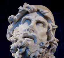Regele lui Ithaca Odysseus. Mitologia Greciei antice