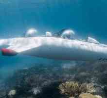 Submarine private: descriere, caracteristici, fapte interesante