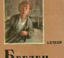 Cehov "fugar": un scurt rezumat și o analiză a povestirii