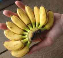 Чем интересны маленькие бананы