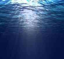 Care este diferența dintre curenții oceanici și valuri? Natura și posibilitățile acestor fenomene