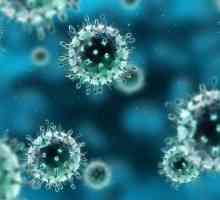 Care este riscul de infecție cu enterovirus la adulți?