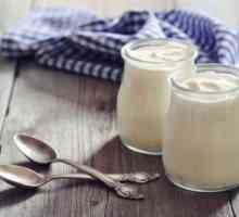 Care este diferența dintre un produs de iaurt și iaurt?