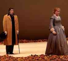 Care este diferența dintre o operă și o operetă: o comparație a genurilor
