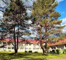 `Chereka `(sanatoriu, regiunea Pskov): descriere, caracteristici, servicii și recenzii