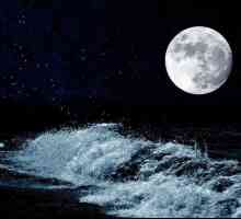 Ce se întâmplă dacă dispare luna? Ce efect are Luna asupra Pamantului?