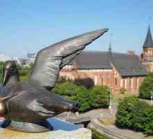 Ce să vedem în Kaliningrad: parc de sculpturi pe insula Kant