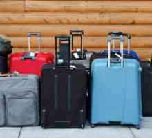 Ce este bagajele? Semnificație, sinonime și interpretare