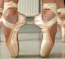 Ce este baletul - dansul sau zborul sufletului