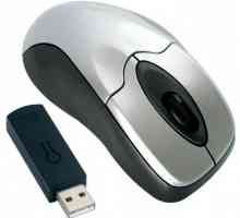 Ce este un mouse wireless?