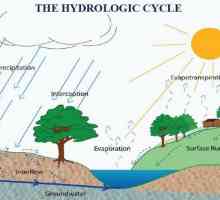 Care este factorul de umezire și cum este determinat?