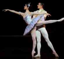 Ce este pas de deux în balet și circ, pe parada și în sala de concerte