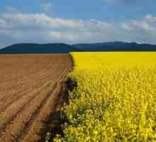 Ce este terenul arabil? sens