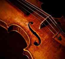 Ce este o vioară? Structura și funcțiile vioară