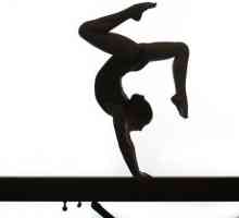 Ce este gimnastica? Descrierea și regulile